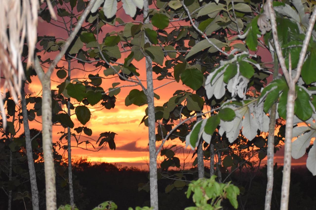 A Pousada Hidden Haven Unitedville Exterior foto