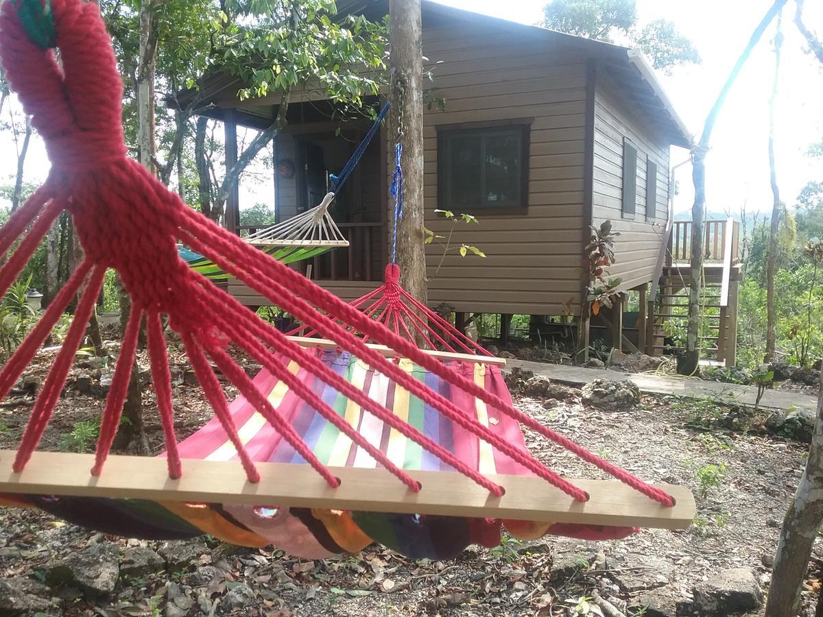A Pousada Hidden Haven Unitedville Exterior foto