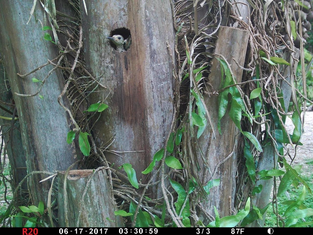 A Pousada Hidden Haven Unitedville Exterior foto