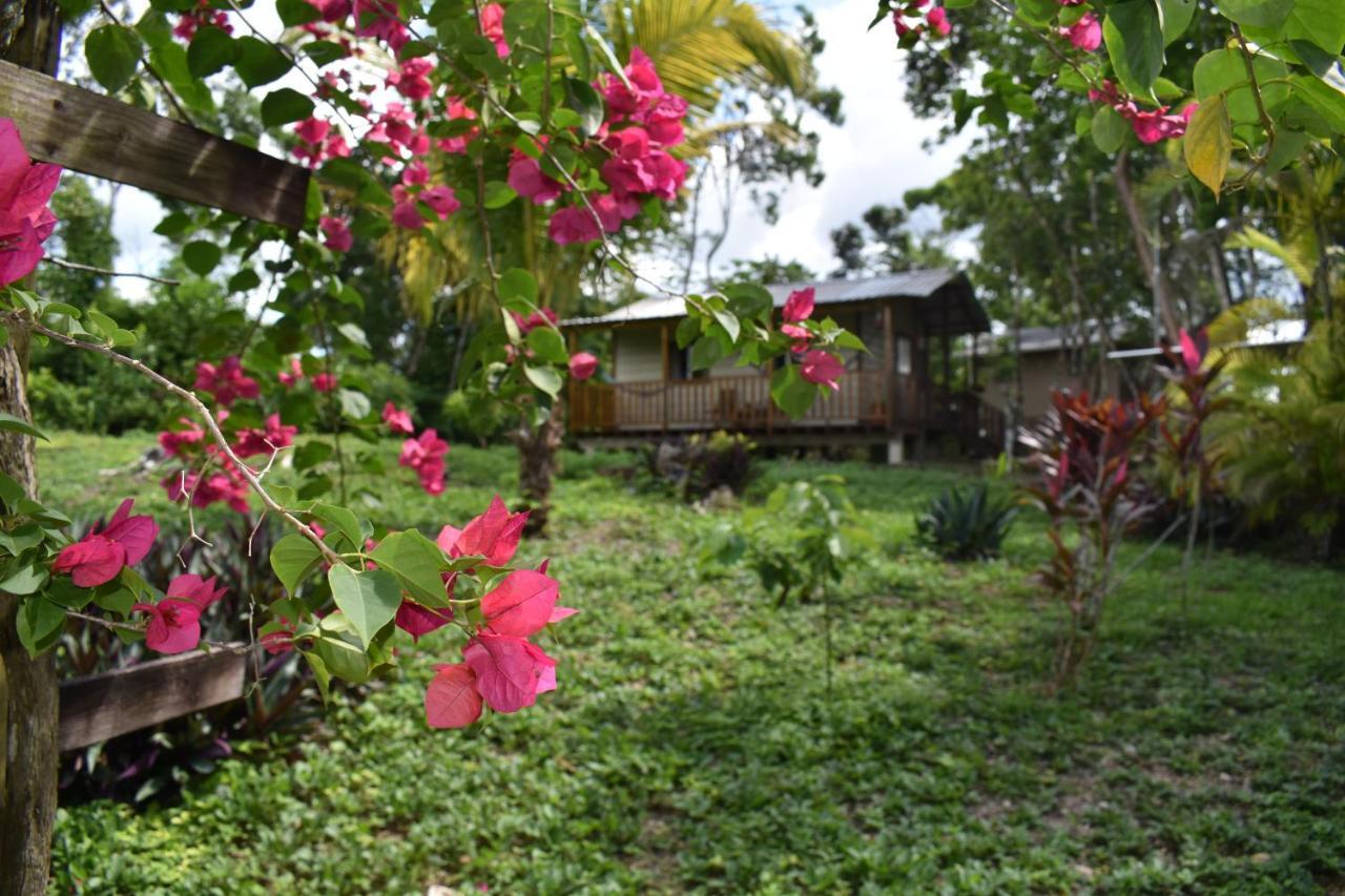 A Pousada Hidden Haven Unitedville Exterior foto